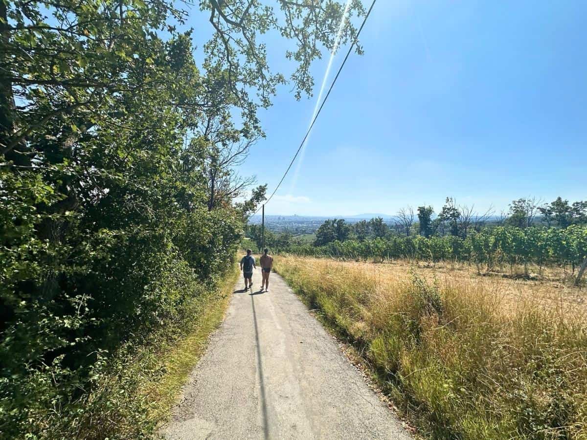 Steve and Zoey walking along vineyard trails in Vienna, Austria