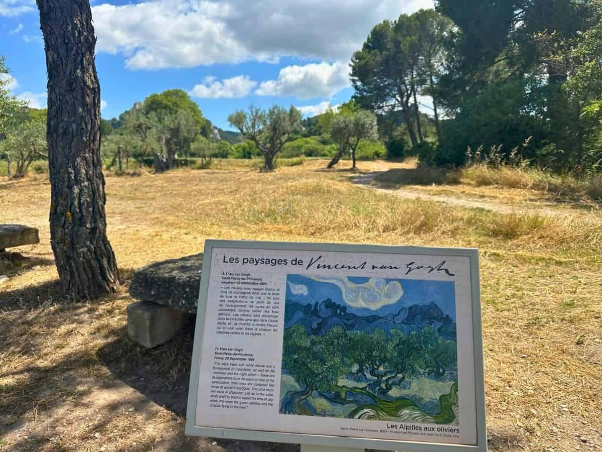 Visiting Saint-Paul-de-Mausole, with views of some of Van Gogh's most famous paintings