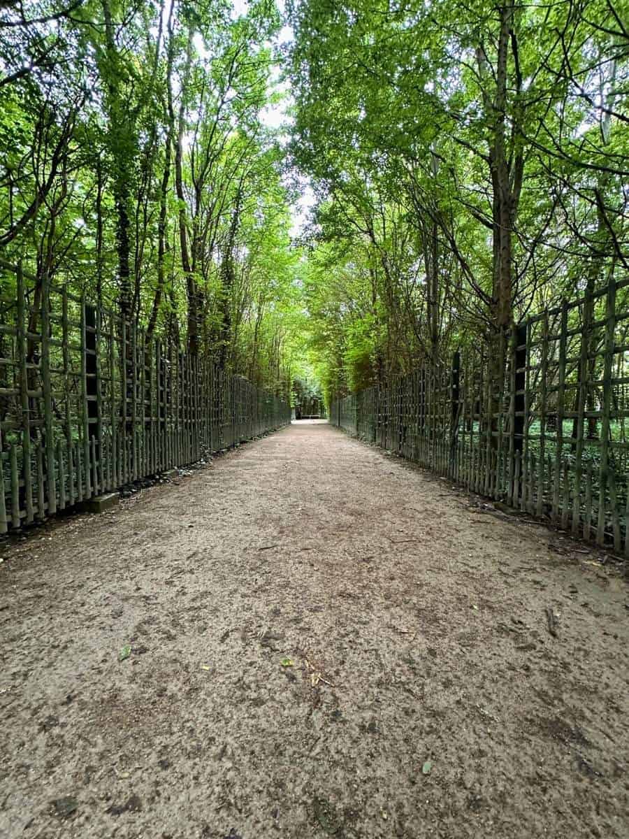 Tree-covered paths in the gardens of Versailles
