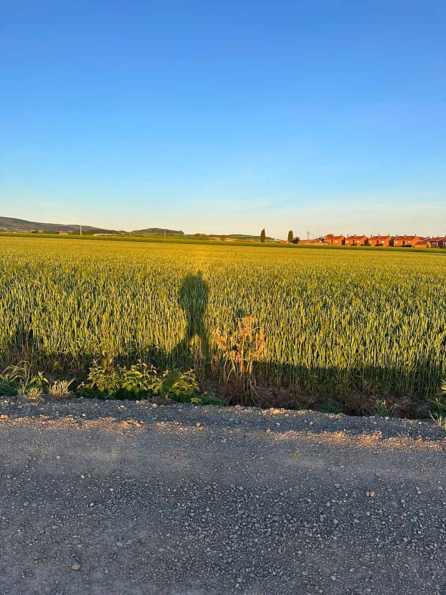 My shadow in a field while walking along on the Camino Francés 