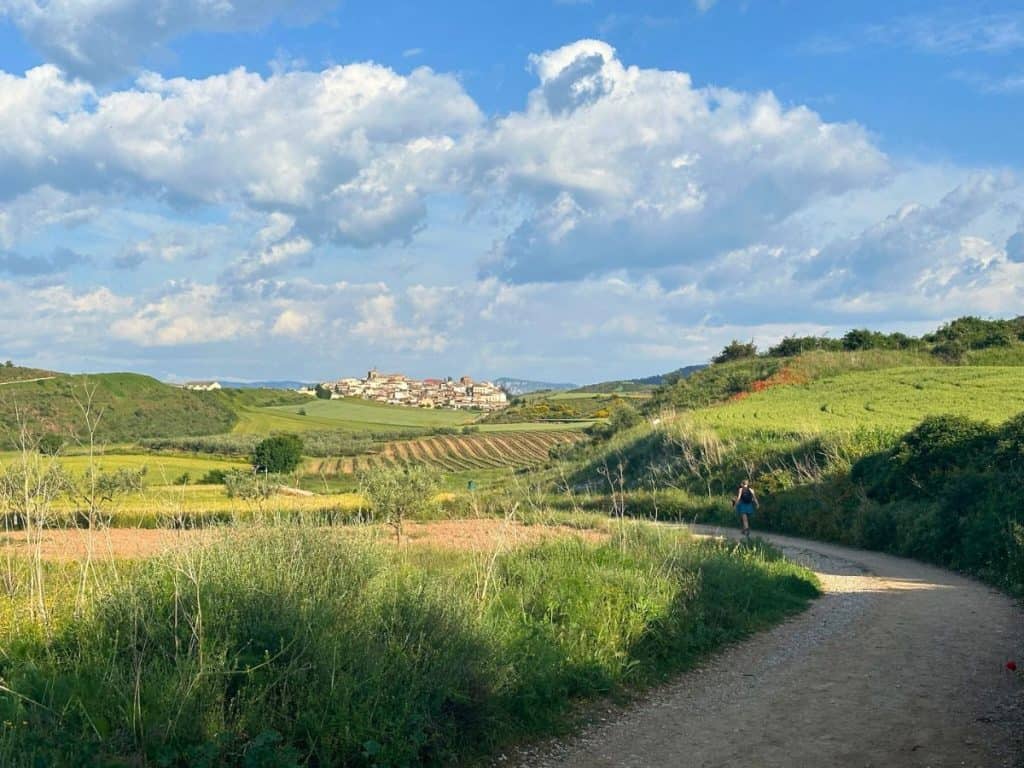 Gentle hills on the approach to Cirauqui, a town along the Camino Francés