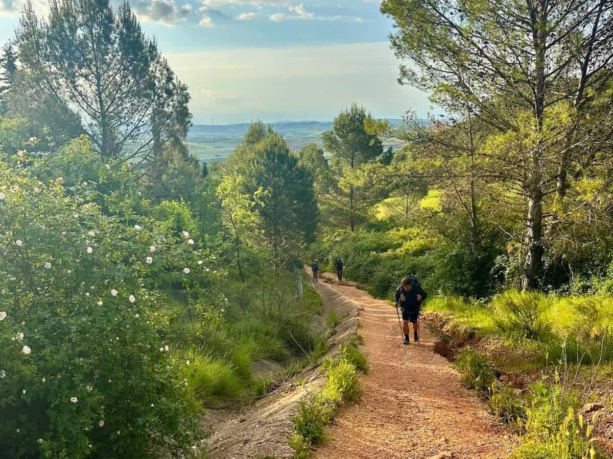 Steve climbing a hill along the Camino Francés. Injuries are common along the Camino, and they can pop up any day.