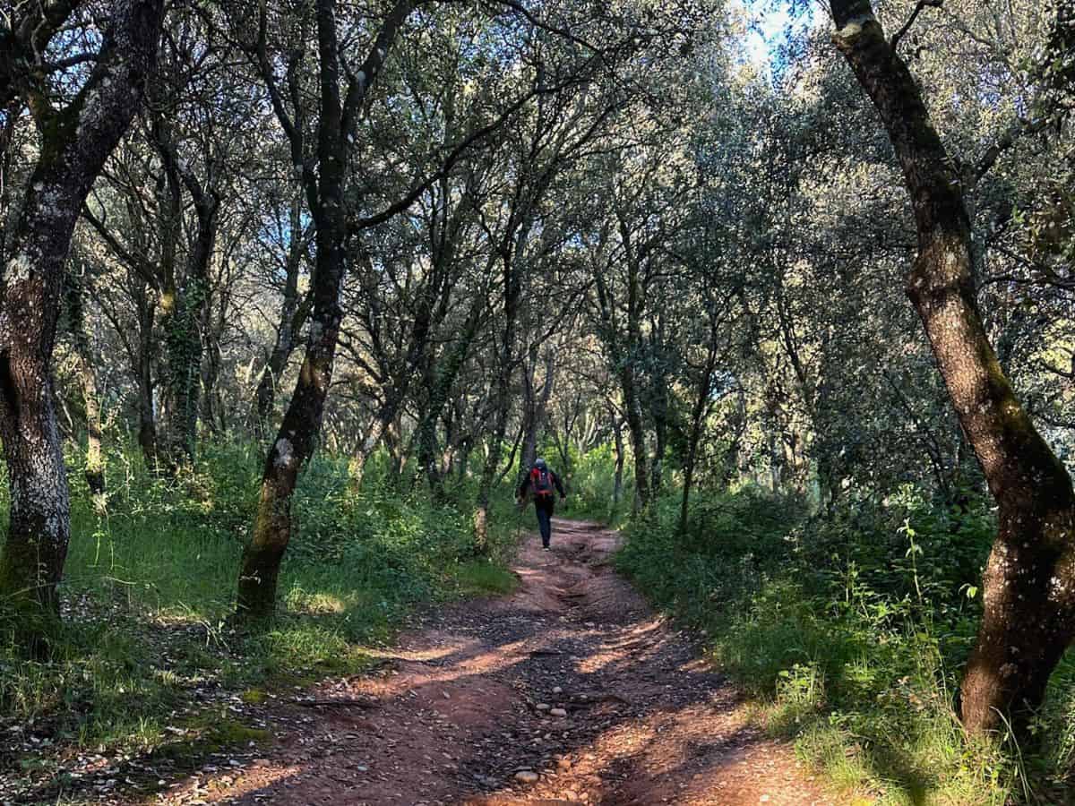 A solo walker along the Camino. We were very surprised by the promotion of solo pilgrims walking the Camino Francés. 