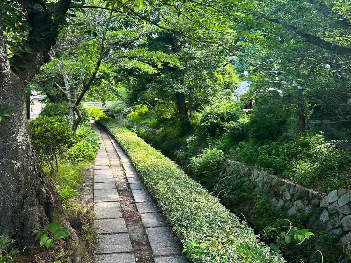 Lush greenery along Philosopher's Path in Kyoto
