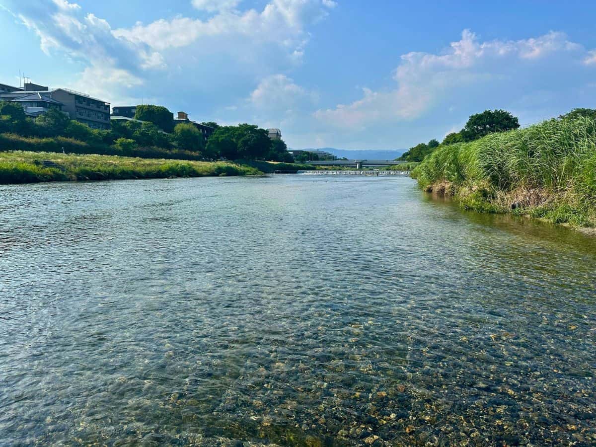 Renting bikes in Kyoto isn't complete without a ride along the Kamo River
