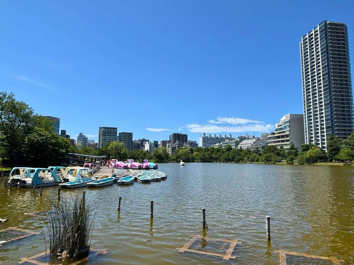 A beautiful pond within Ueno Park, one of our favorite Tokyo gardens