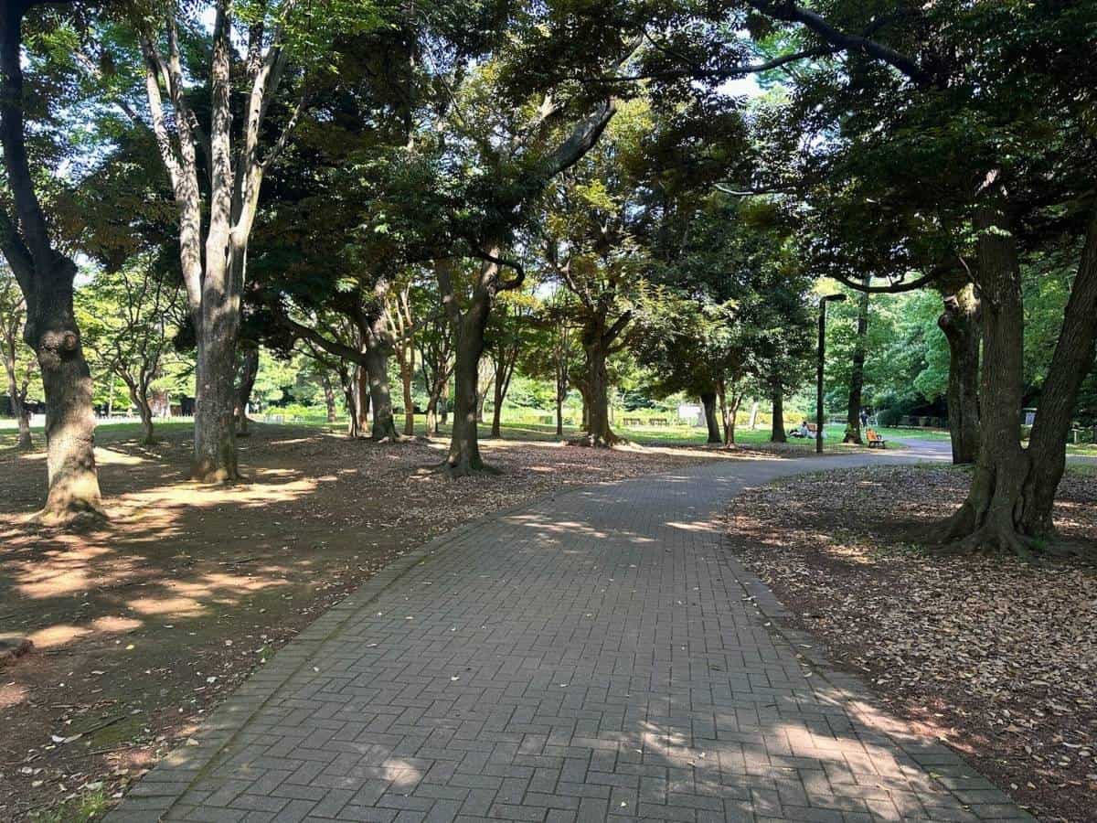 A shaded pathway through Yoyogi Park