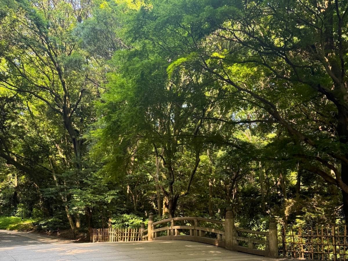 The grounds of Meiji Jingu Shrine are wonderful for walking