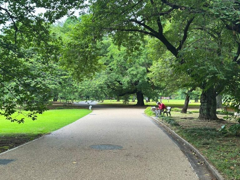 Wide tree-covered pathway through Tokyo's Shinjuku Gyoen National Garden