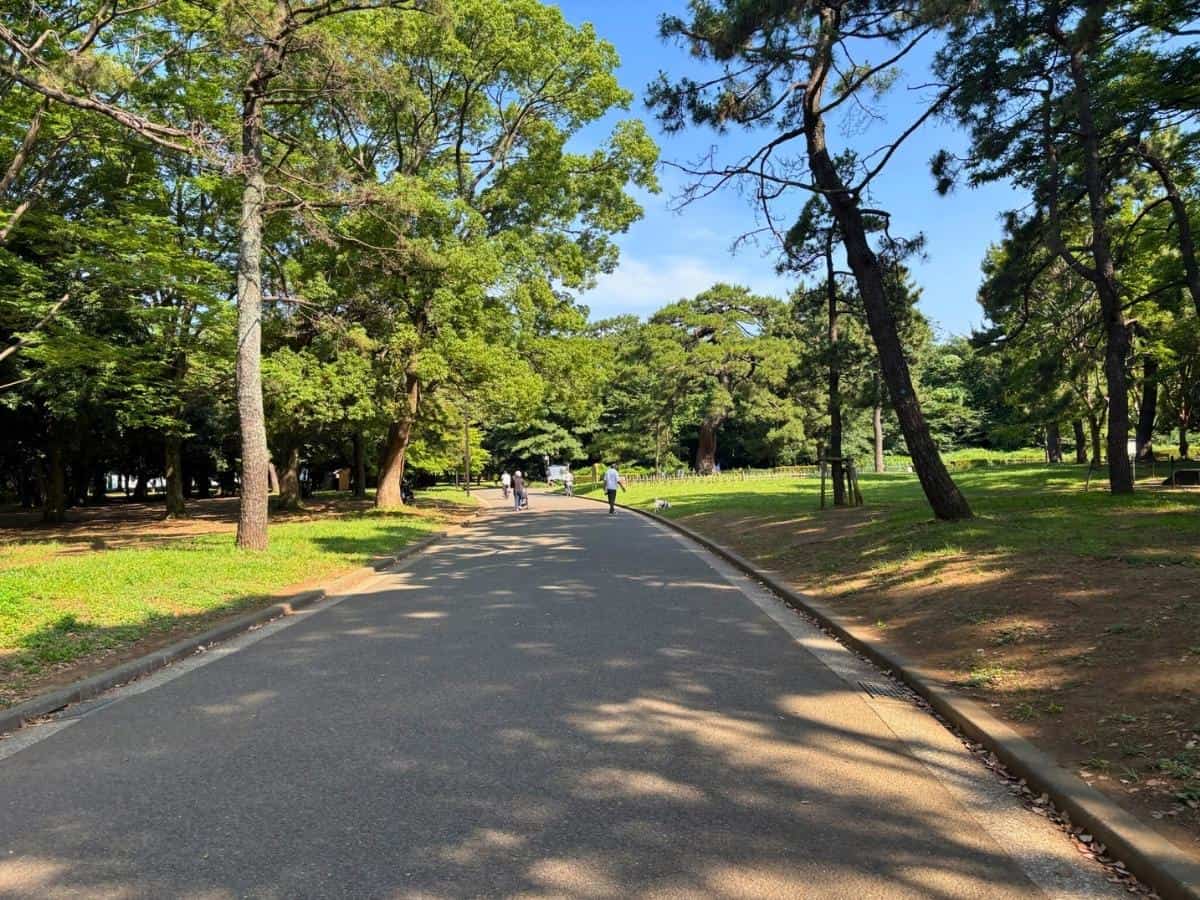 Yoyogi Park is a great spot in Tokyo for jogging, walking, or just enjoying the outdoors