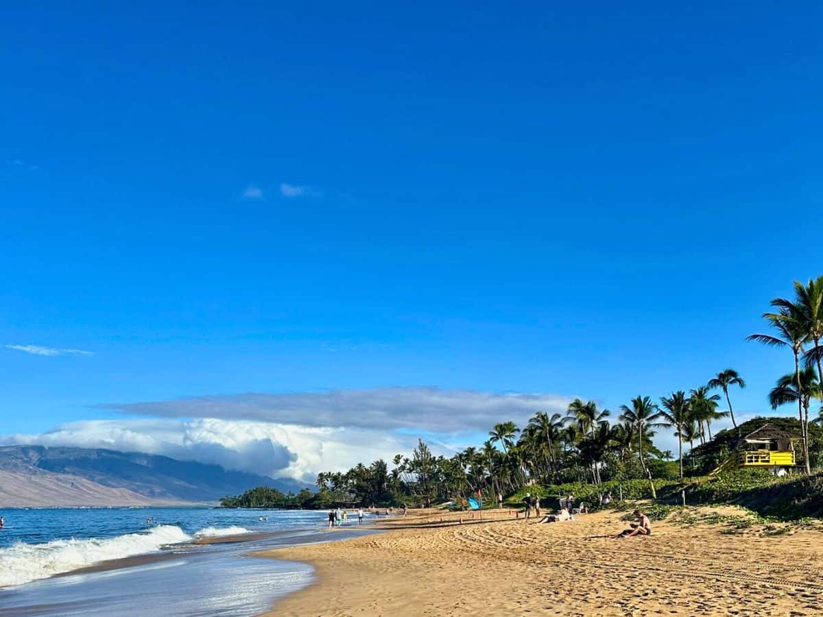 Kamaole III beach in Kihei. If you're choosing Kihei vs. Wailea beach walks, Kihei offers a more wild experience in nature.