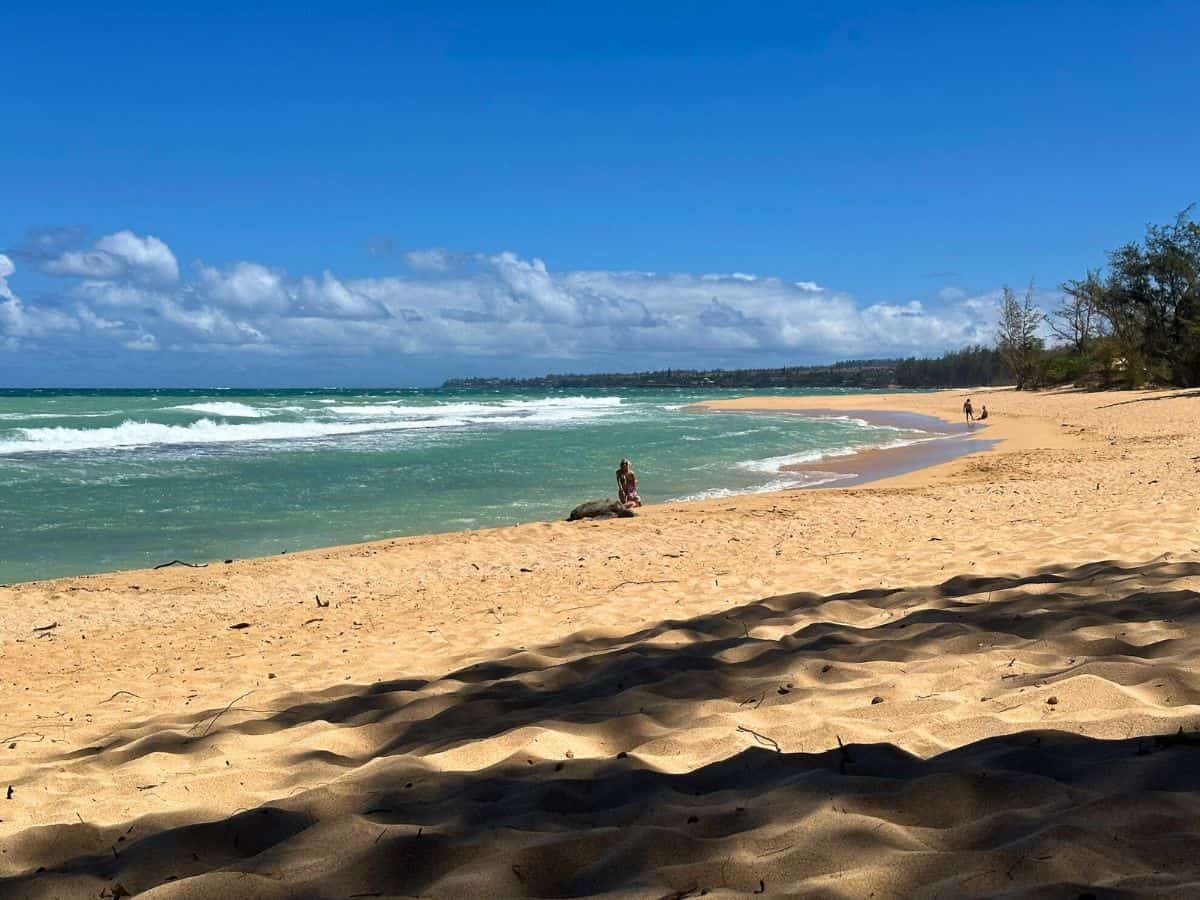 Baby Beach on the North Shore, a great spot for calmer swimming on Maui
