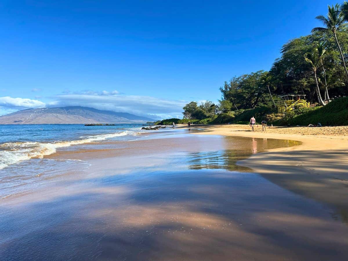 Kamaole III is one of the calmest beaches along the Kihei beach walk
