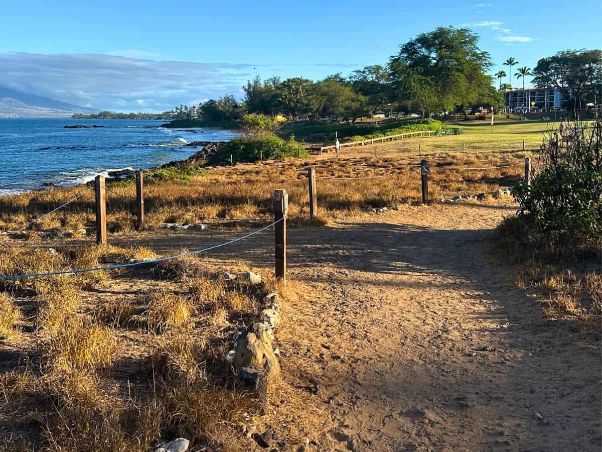 Add a walk through the Eddie Pu Trail along the Kihei beach walk
