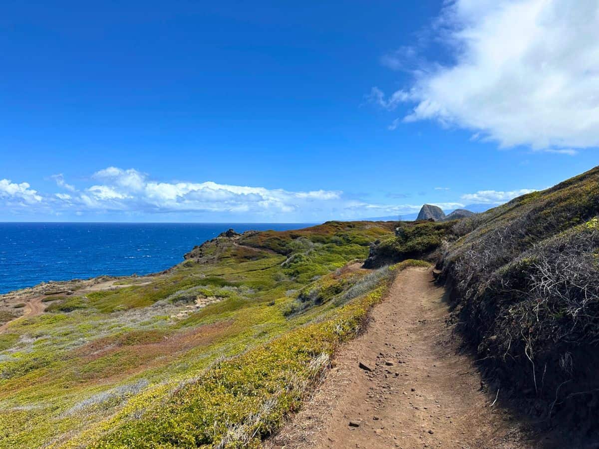 The 'Ohai Trail on Maui's northwest coast.